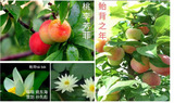 恭贺倪老师九十华诞封二20230421.jpg